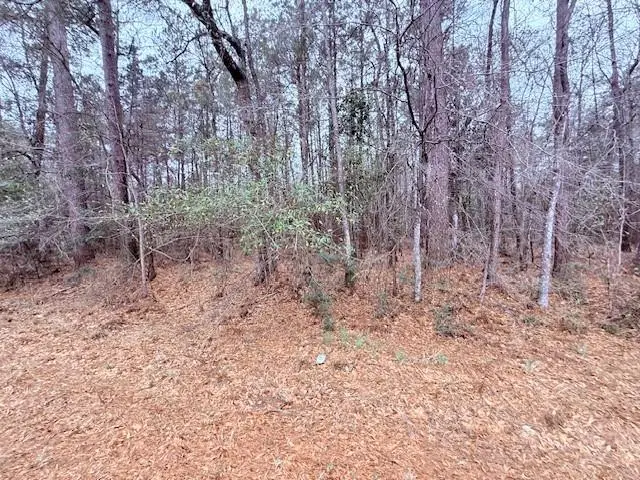 TBD 21 Highway, Arcola, LA 70456 - #3