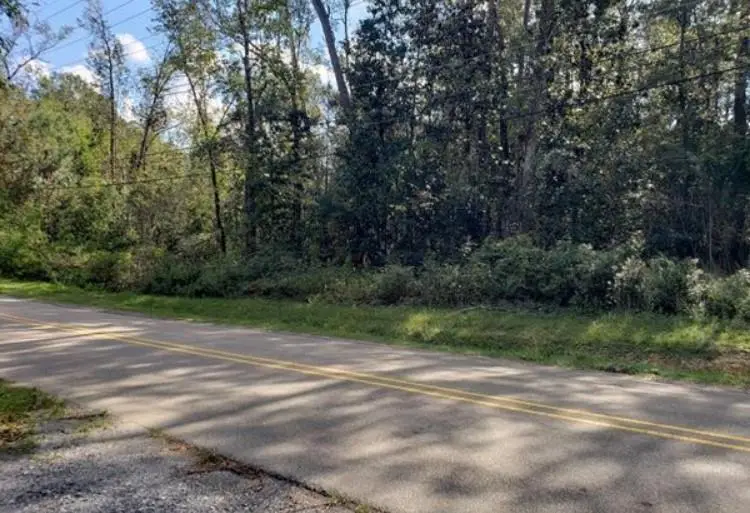 W 8th Avenue, Covington, LA 70433 - #1