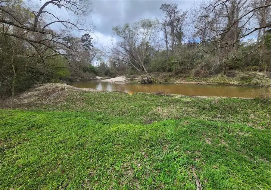 33979 Hwy 441 Highway, Holden, LA 70744 - #2