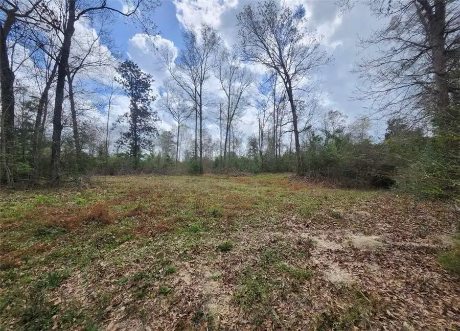 33979 Hwy 441 Highway, Holden, LA 70744 - #3