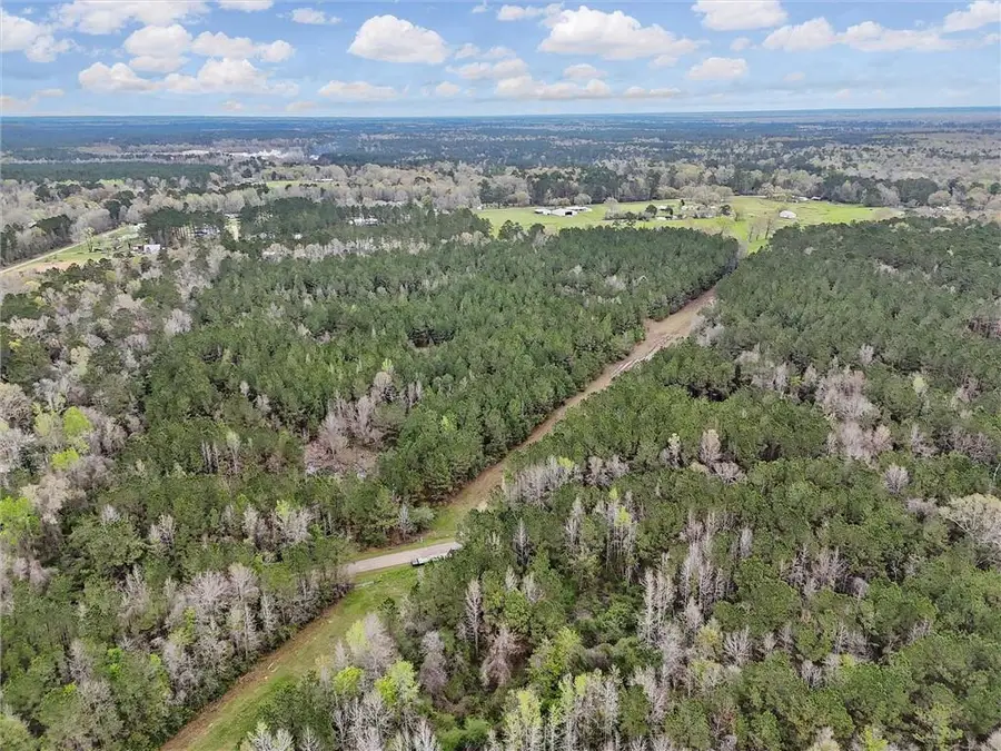 NHN Simmons Rd #2 Road, Bogalusa, LA 70427 - #3