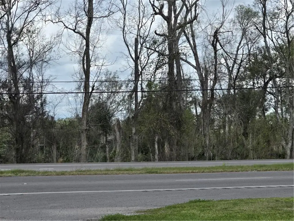 14298 Hwy 90 Highway, Boutte, LA 70039 - #1