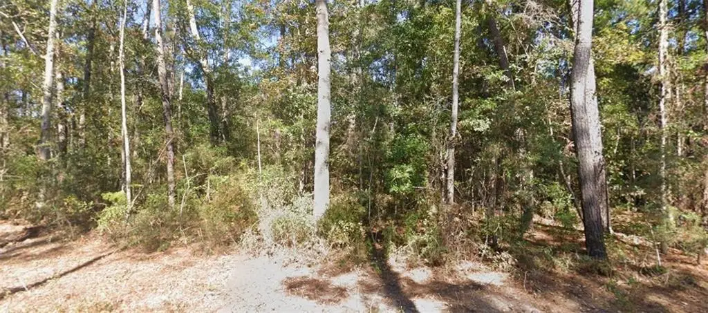 999 Cloverland Road, Lacombe, LA 70445 - #1