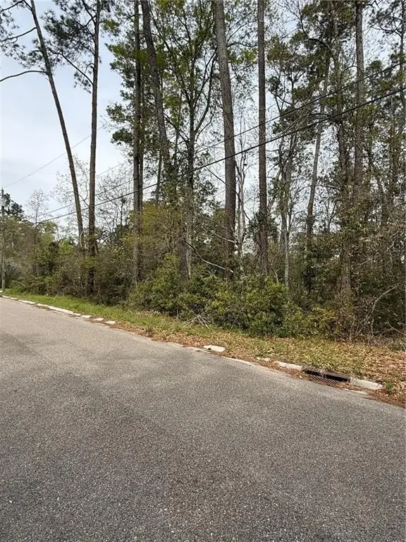 Erindale Drive, Lacombe, LA 70445 - #3