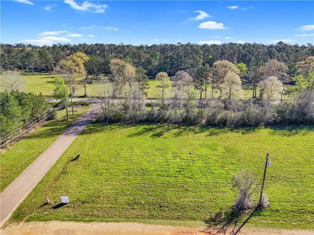 Lot 1 Old Union Road, Franklinton, LA 70438 - #1