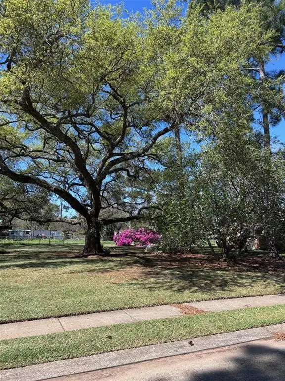 5620 Skylark Drive, Alexandria, LA 71303 - #3