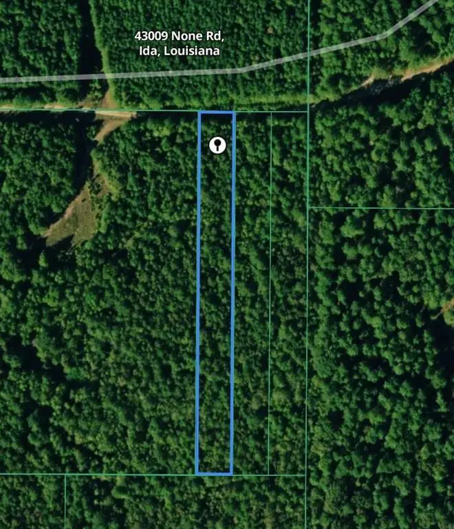 43009 None Road, Ida, LA 71044 - #1