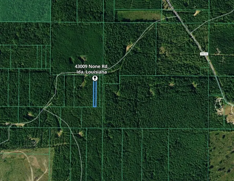 43009 None Road, Ida, LA 71044 - #3