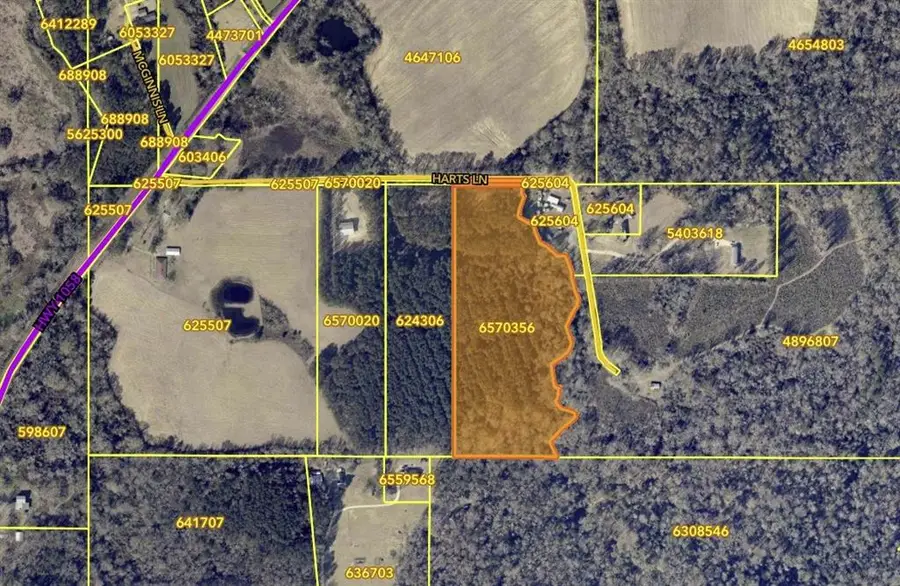 TBD Harts Lane, Kentwood, LA 70444 - #3