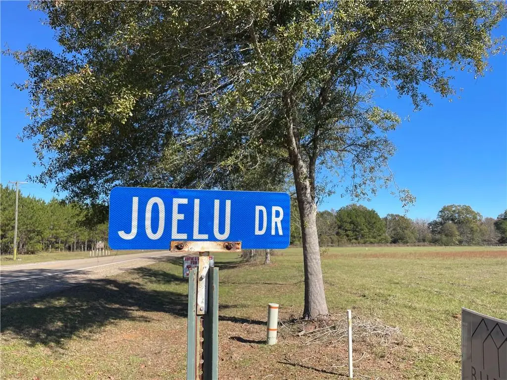 Lot 11 Joelu Drive, Franklinton, LA 70438 - #1
