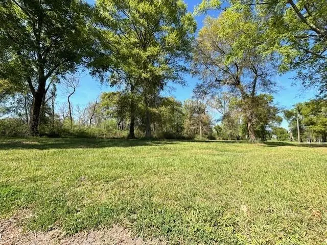 35158 Rena Melancon Road, Darrow, LA 70725 - #3