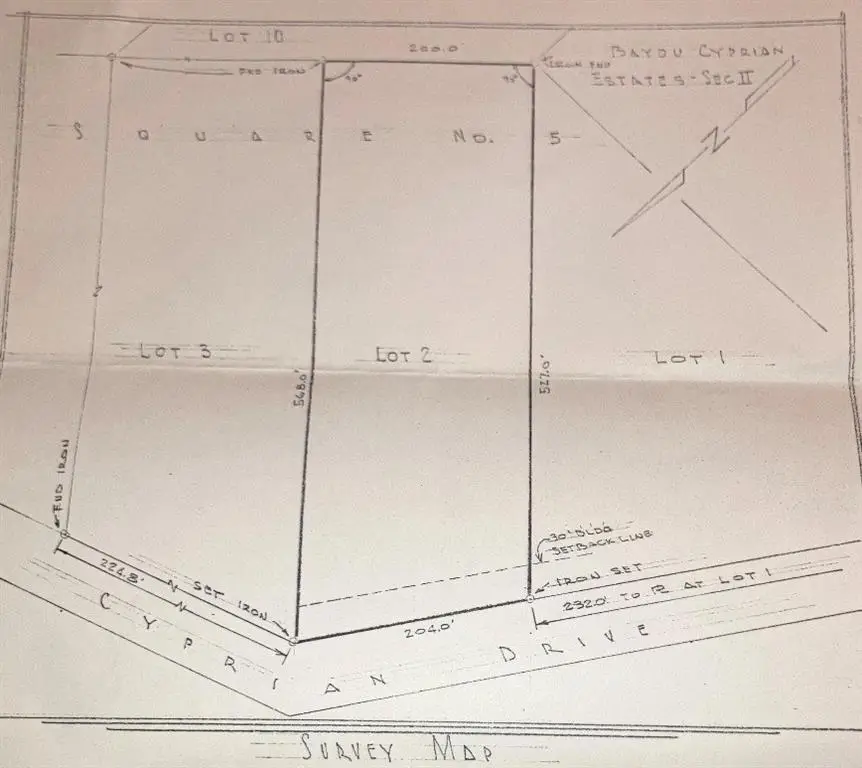 29244 Cyprian Drive, Lacombe, LA 70445 - #1