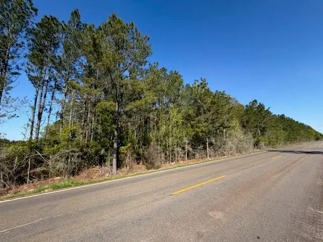 Highway 1063, Independence, LA 70443 - #1