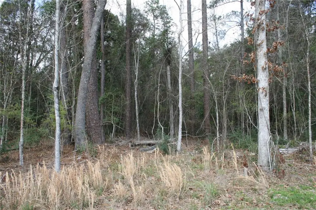 21149 Little River Court, Covington, LA 70435 - #1