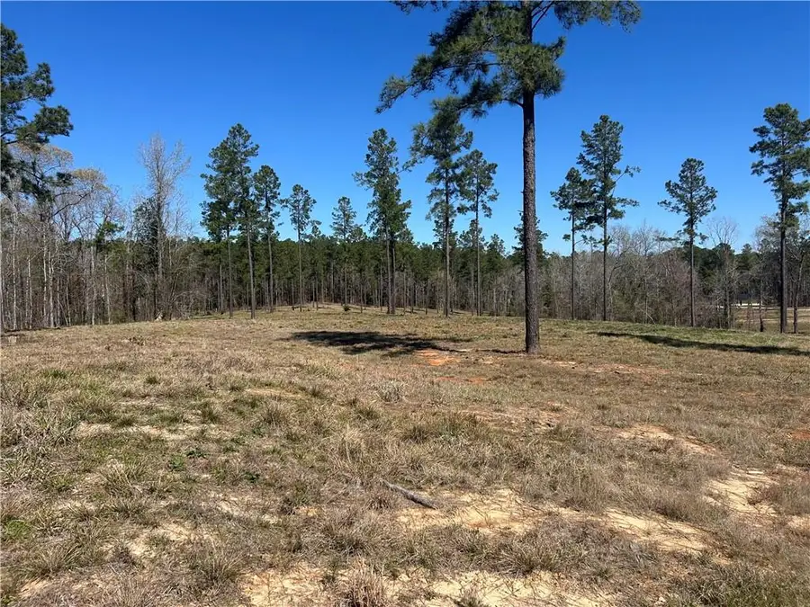 0 Teekell Drive, Boyce, LA 71409 - #3