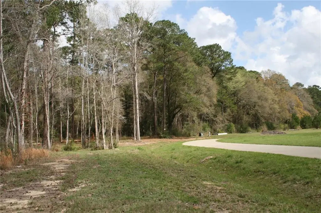 21157 Little River Court, Covington, LA 70435 - #1