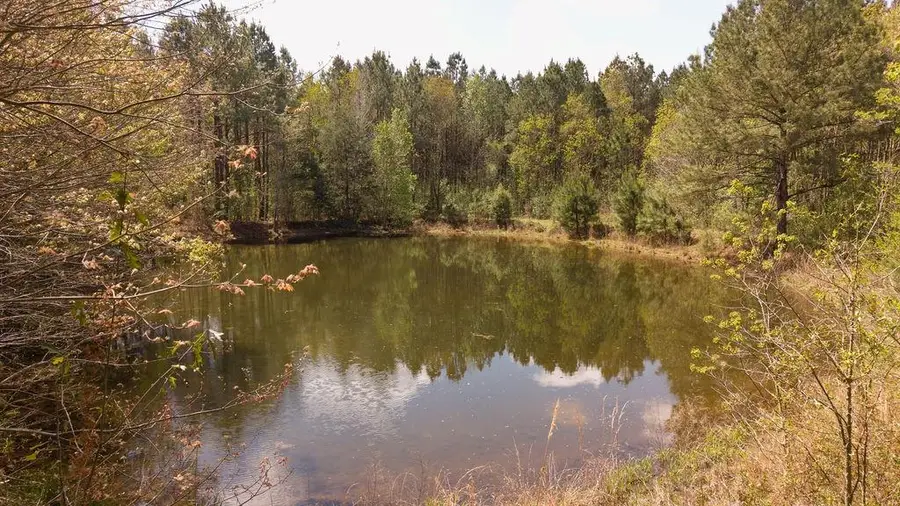 43162 La 38 Highway, Franklinton, LA 70438 - #2