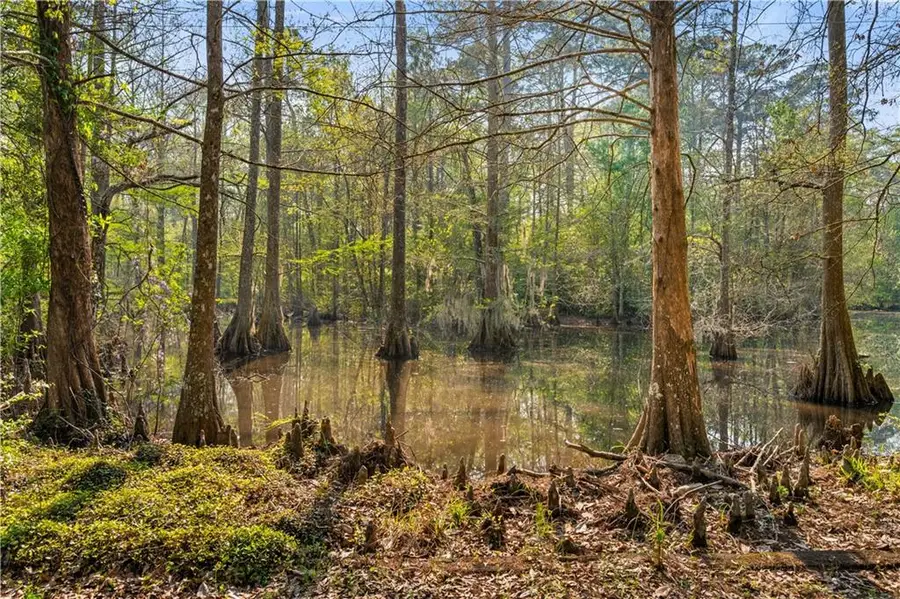 20 Juneau Road, Woodworth, LA 71485 - #3