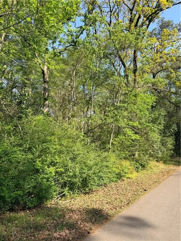 00000 Highway 165, Ball, LA 71405 - #3