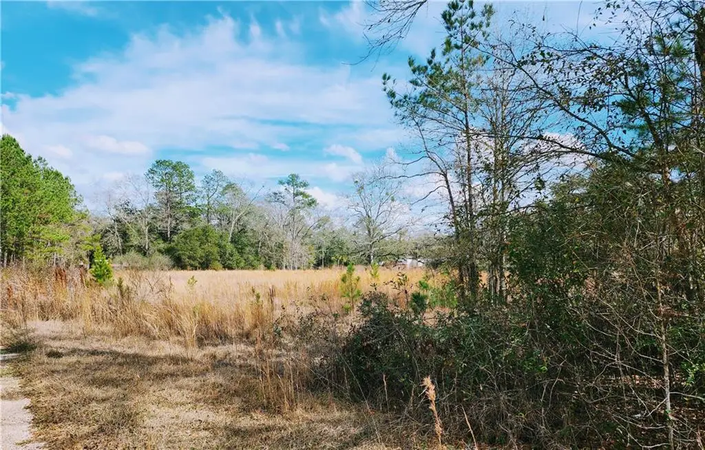 La Hwy 25 Highway, Covington, LA 70435 - #1