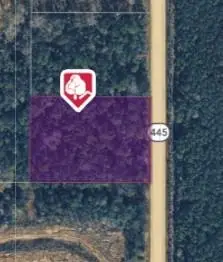 2 Ac 445 Highway, Loranger, LA 70446 - #1