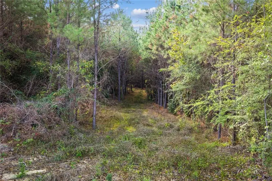 Highway 62 Lot 2, Franklinton, LA 70438 - #3