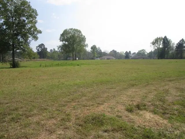 4822 (8.5AC)- Hwy 28 Highway, Pineville, LA 71360 - #3