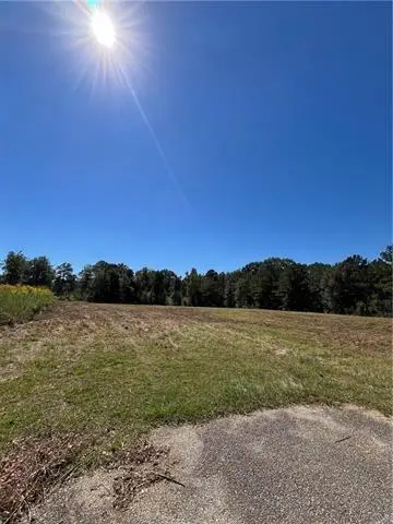 1 Gemstone Drive, Franklinton, LA 70438 - #1