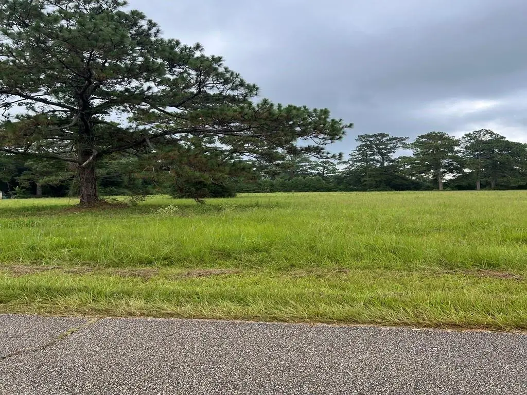 000 Ray Keene Road, Covington, LA 70435 - #1