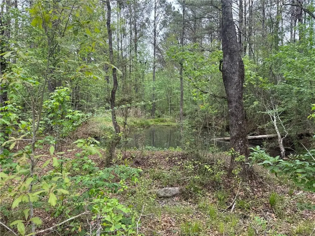 0 Pine Hollow Road, Covington, LA 70435 - #1