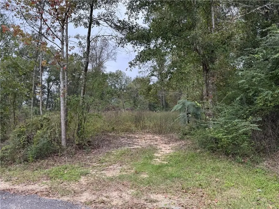 29507 Clay Street, Albany, LA 70711 - #2