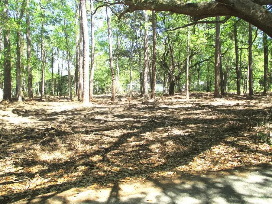 65058 Holmes Street, Pearl River, LA 70452 - #3