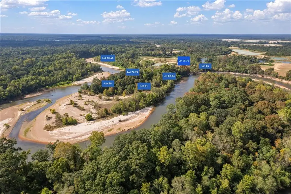 Lot 76 The Banks Drive - Hwy 16 Highway, Franklinton, LA 70438 - #1