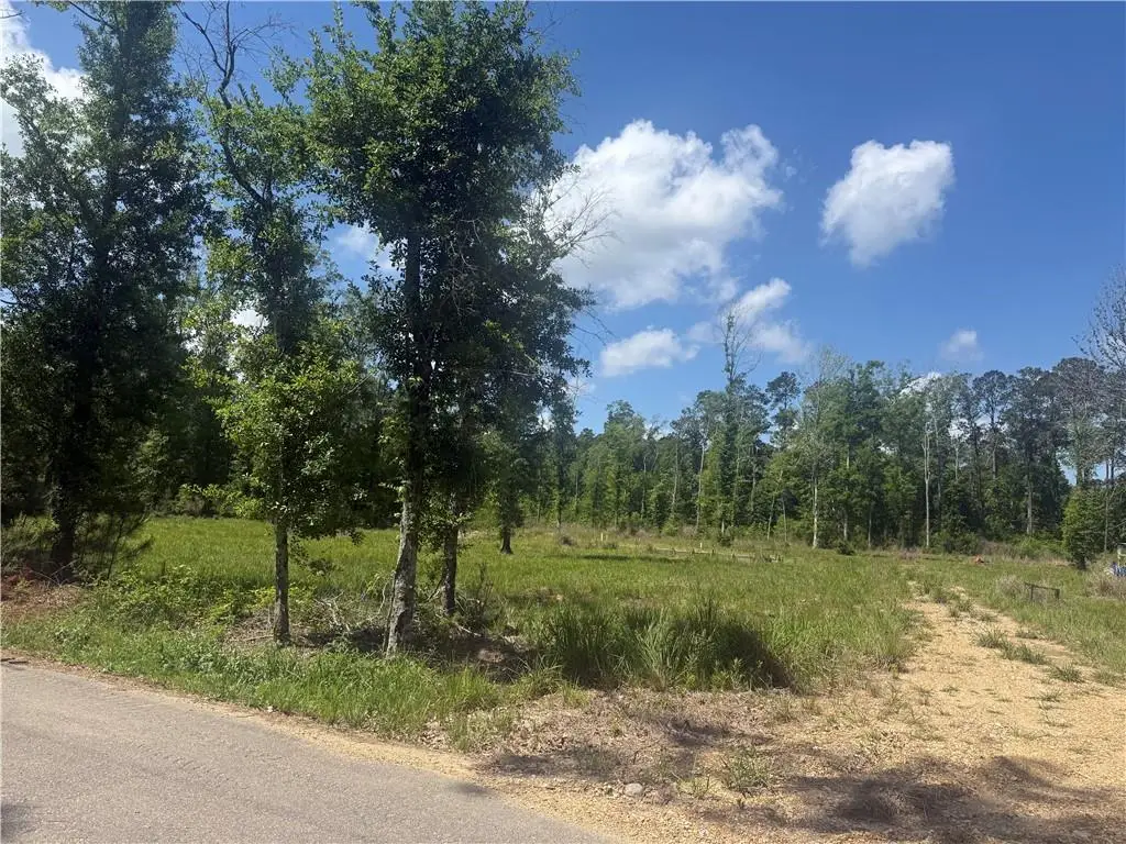 39667 School Section Road, Ponchatoula, LA 70454 - #1