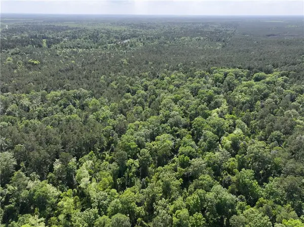 Elmore Mckigney Ln Lane, Springfield, LA 70462