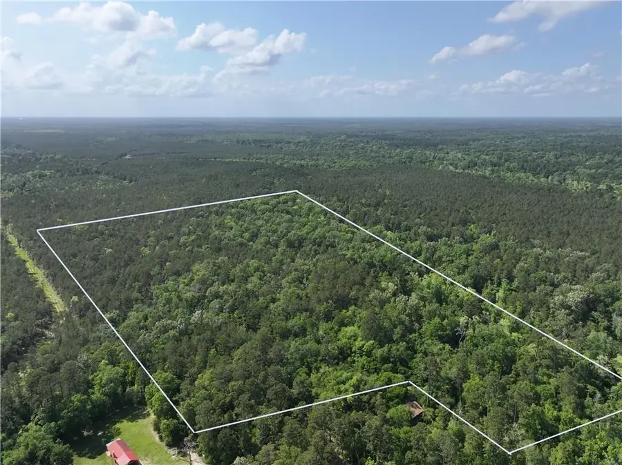 Elmore Mckigney Ln Lane, Springfield, LA 70462 - #2