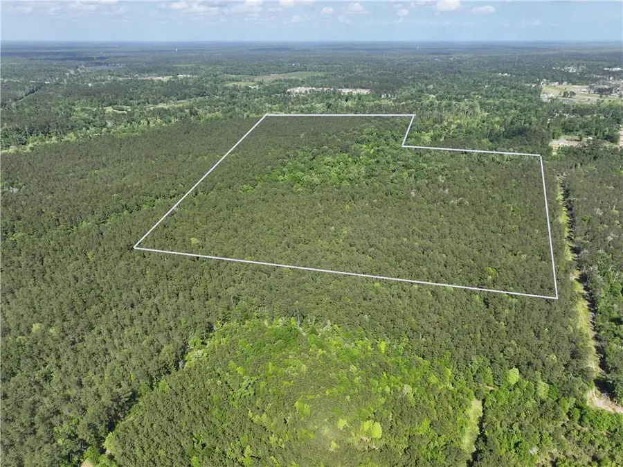 Elmore Mckigney Ln Lane, Springfield, LA 70462 - #3