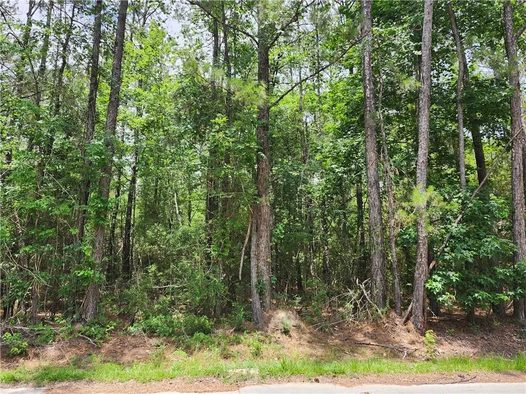 318 Avery Drive, Slidell, LA 70461 - #1