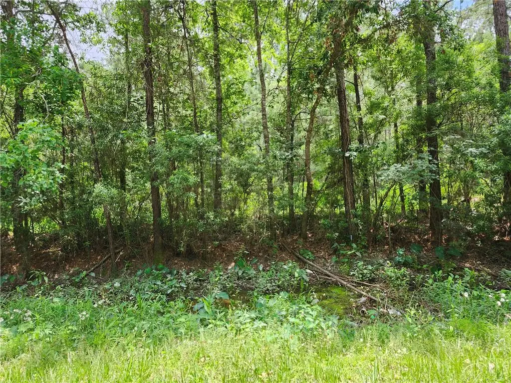 72434 Dahlia Street, Covington, LA 70435 - #1