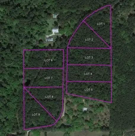 Lot 6 Hubert Stilley Road, Independence, LA 70443 - #1