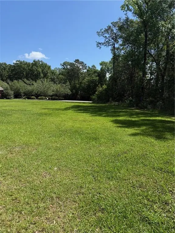 TBD Elmwood Boulevard, Hammond, LA 70403 - #1