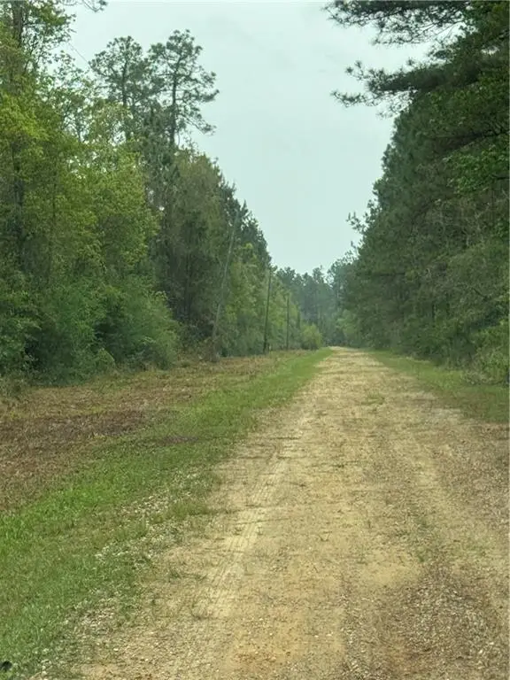 23080 Highway 36, Abita Springs, LA 70420 - #3