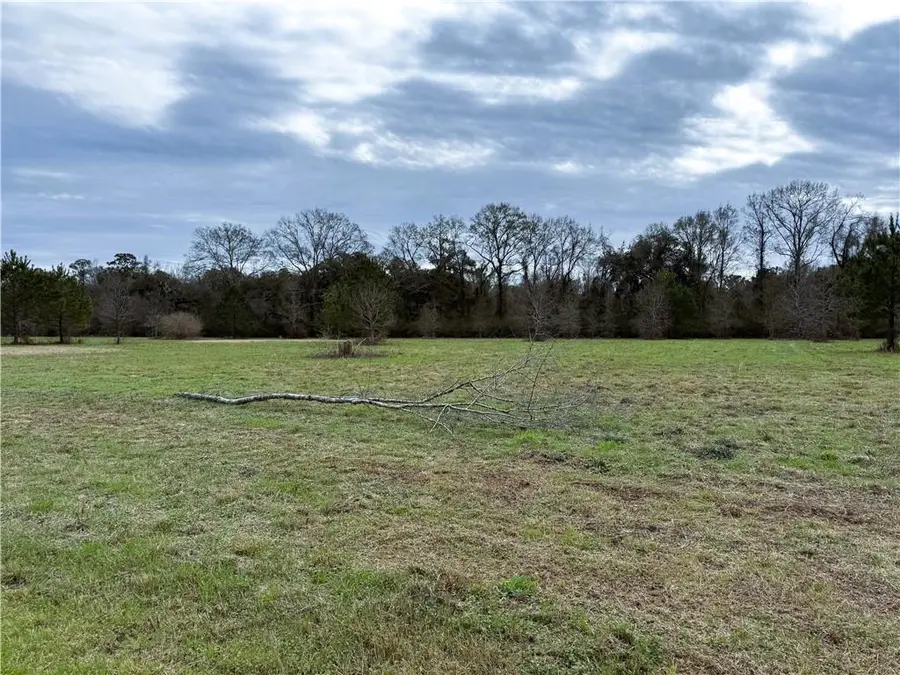 Ed Yates Road, Pearl River, LA 70452 - #3