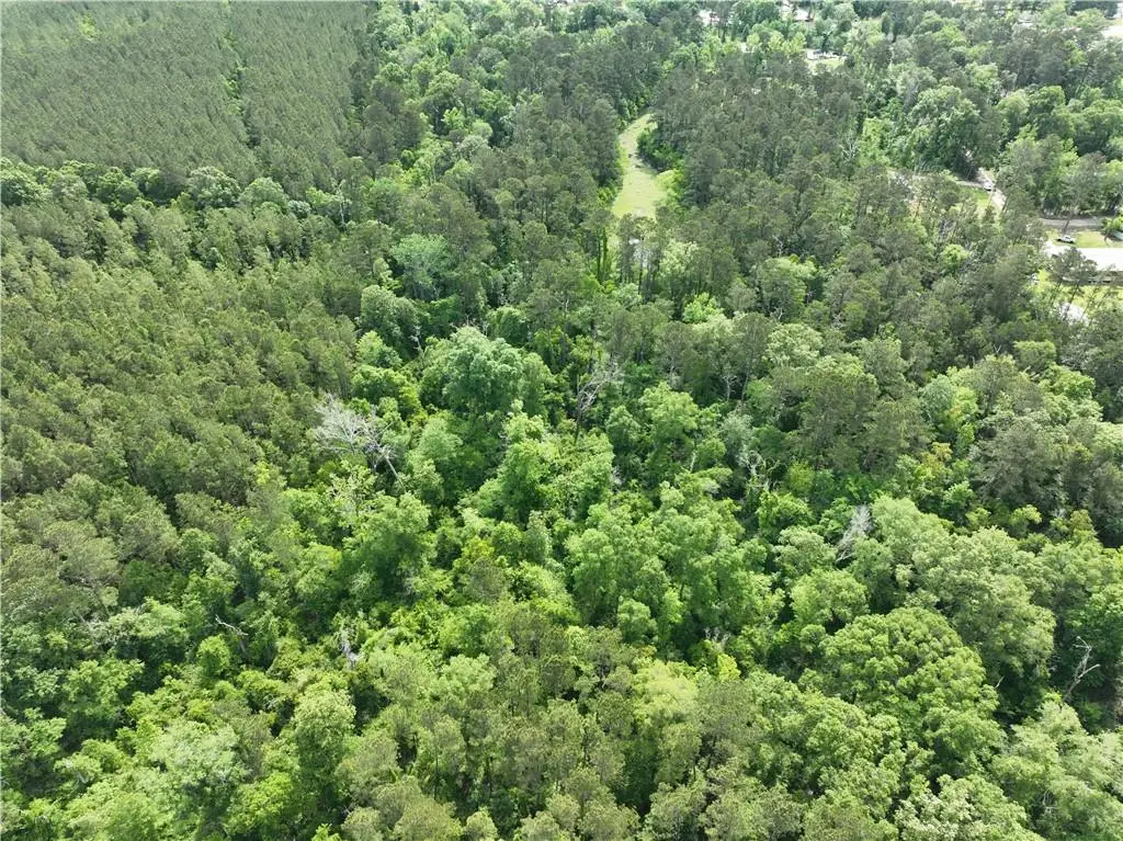 Shadow Lake Drive, Holden, LA 70744 - #1