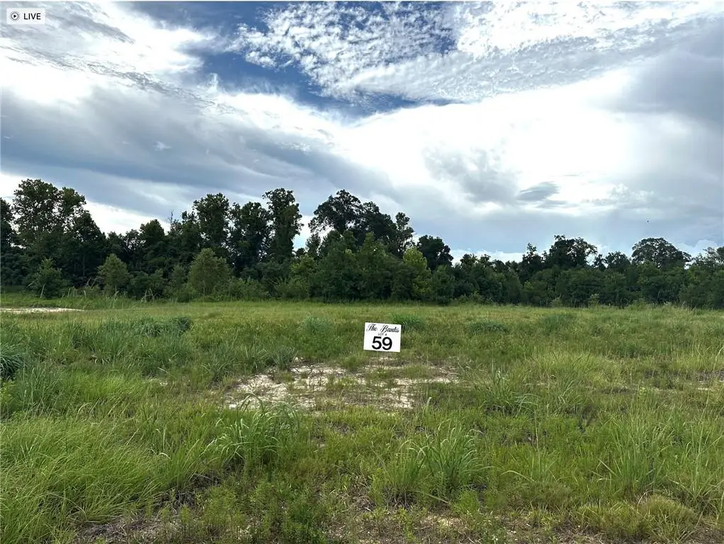 Lot 59 The Banks Drive - Hwy 16 Highway, Franklinton, LA 70438 - #1