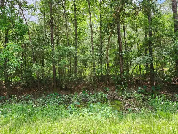 30325 Clesi Avenue, Lacombe, LA 70445