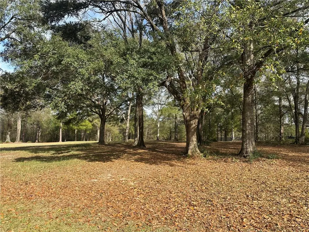 Trailhead Drive, Abita Springs, LA 70420 - #1