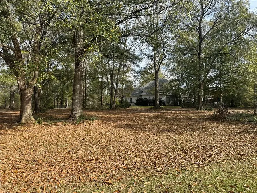 Trailhead Drive, Abita Springs, LA 70420 - #2