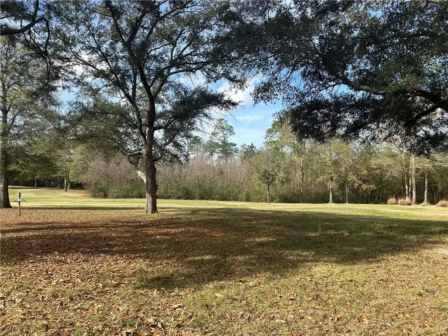 Trailhead Drive, Abita Springs, LA 70420 - #3