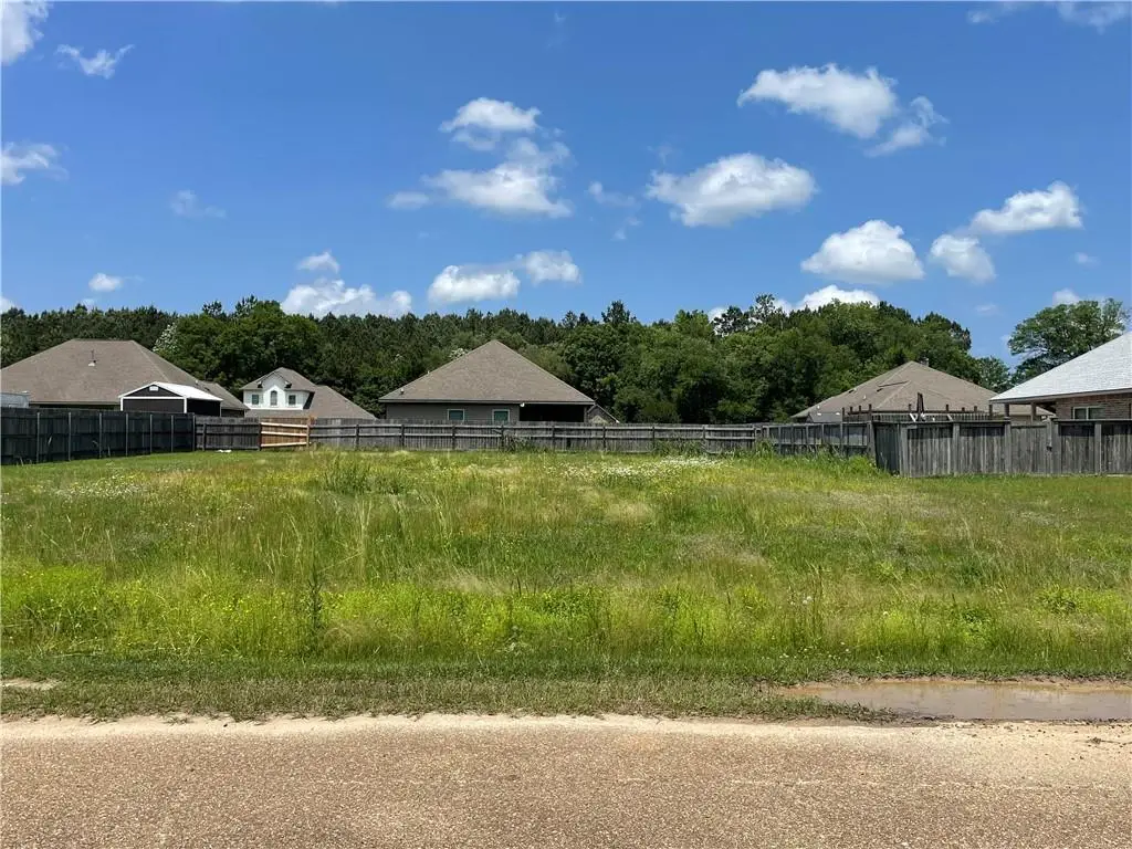 21346 Beau Chateau Boulevard, Ponchatoula, LA 70454 - #1